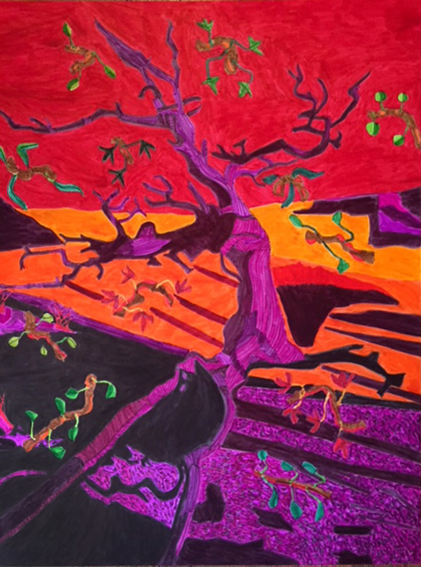 Juniper Tree, Escalante Wilderness